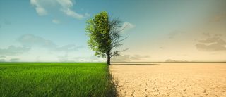 appledesign/iStock appledesign/iStock