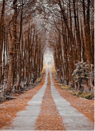 Kenny S./Unsplash