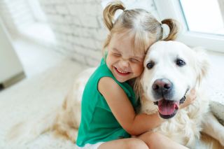 Nina Buday/Shutterstock Nina Buday/Shutterstock