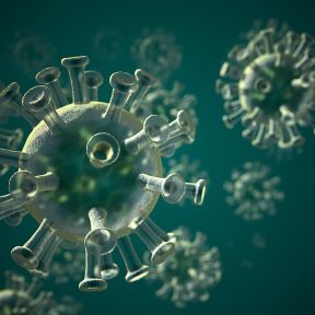 Corona Virus COVID-19
